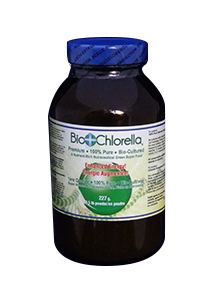 chlorella poudre